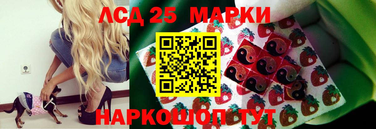 ЛСД экстази кислота  ЛСД экстази кислота  LSD-25 экстази  Вход с VPN  Выборг 