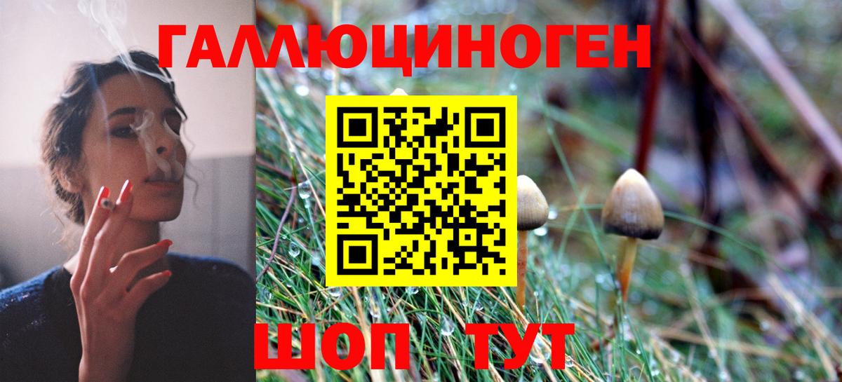 Выборг  Псилоцибиновые грибы Magic Shrooms  Вход с VPN 