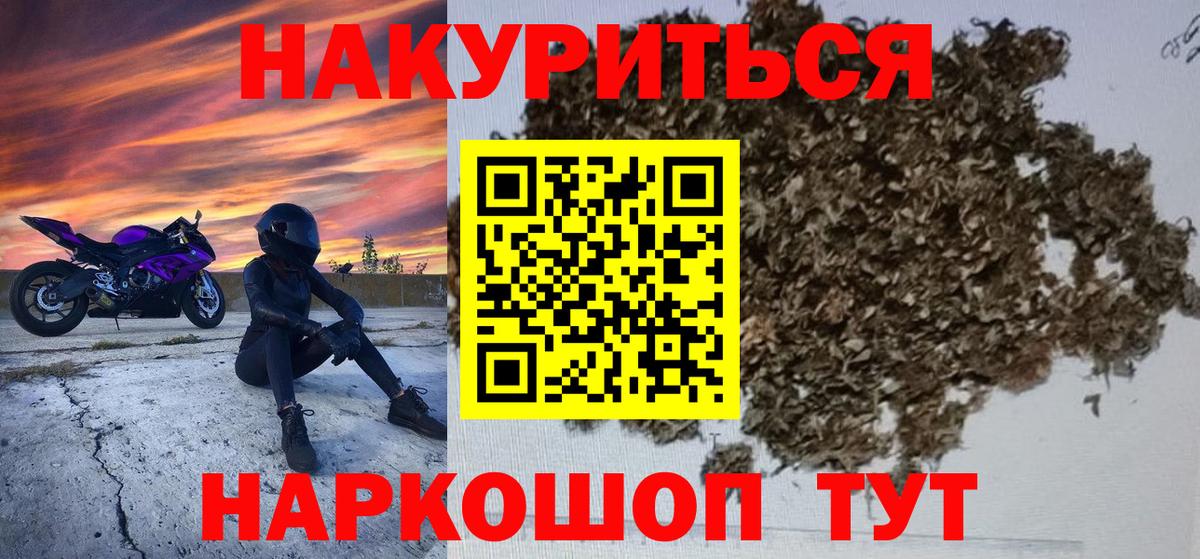 Каннабис конопля Выборг